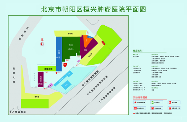 男的插入女的逼北京市朝阳区桓兴肿瘤医院平面图